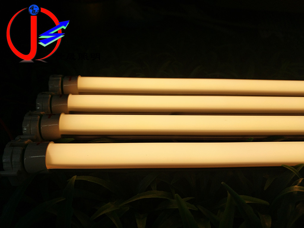 高亮T5无影日光灯 非常规尺寸订做低压12V一体化灯管 3014LED灯带