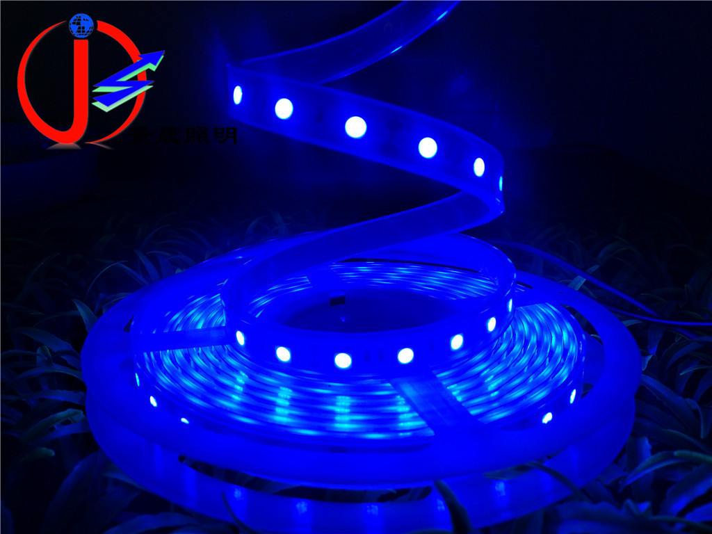厂家直销LED灯带12V5050贴片60珠套管防水灯条低压安全蓝色现货