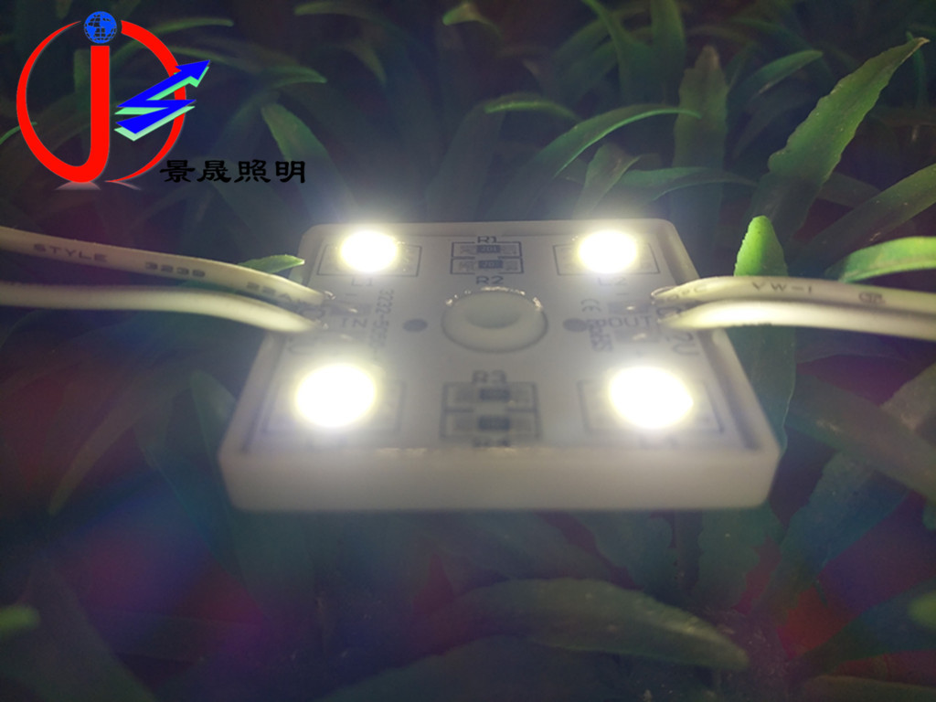 高亮4灯LED5050防水模组白光 招牌亮化装饰12VLED5050贴片防水模
