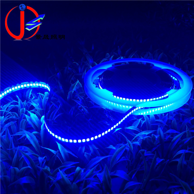 12V240灯2835软灯带单排室内照明工程亮化照明10MM软灯带