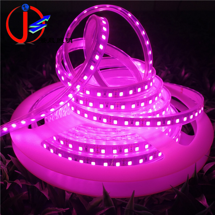 LED灯带12V 120珠/m2835套管粉红色贴片软灯条客厅户外防水灯带