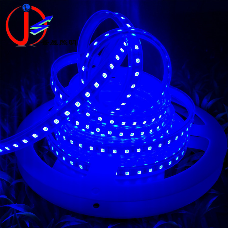 LED灯带12V2835贴片套管防水灯条户外工程家装小汽车灯条 蓝色