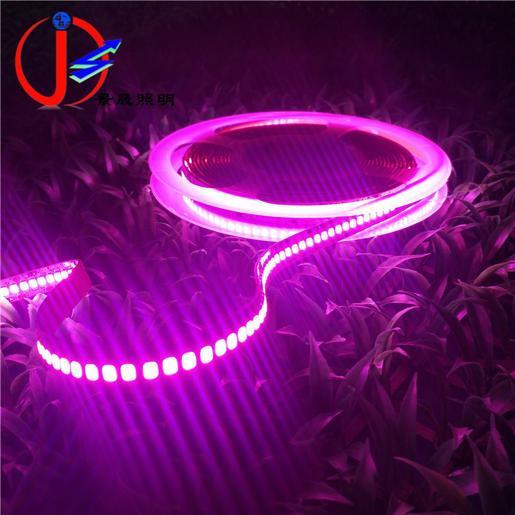 12V2835LED灯带供应高亮240灯单排10MM2835led240灯灯条展示架用