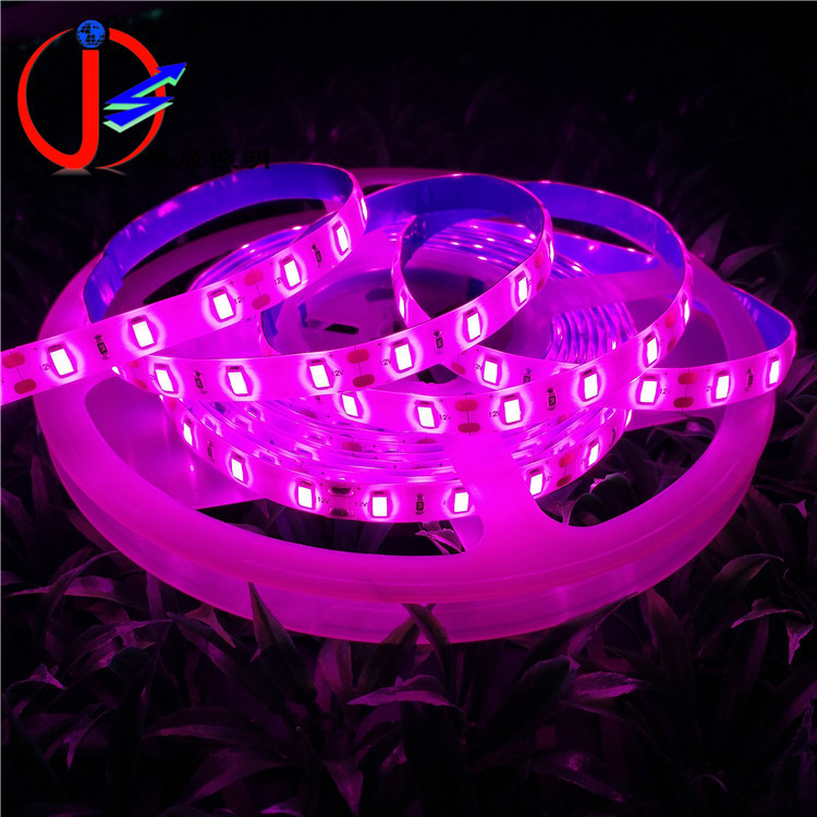 led灯带5730高亮12V60珠室内防水灯带 LED防水灯条5730粉红色