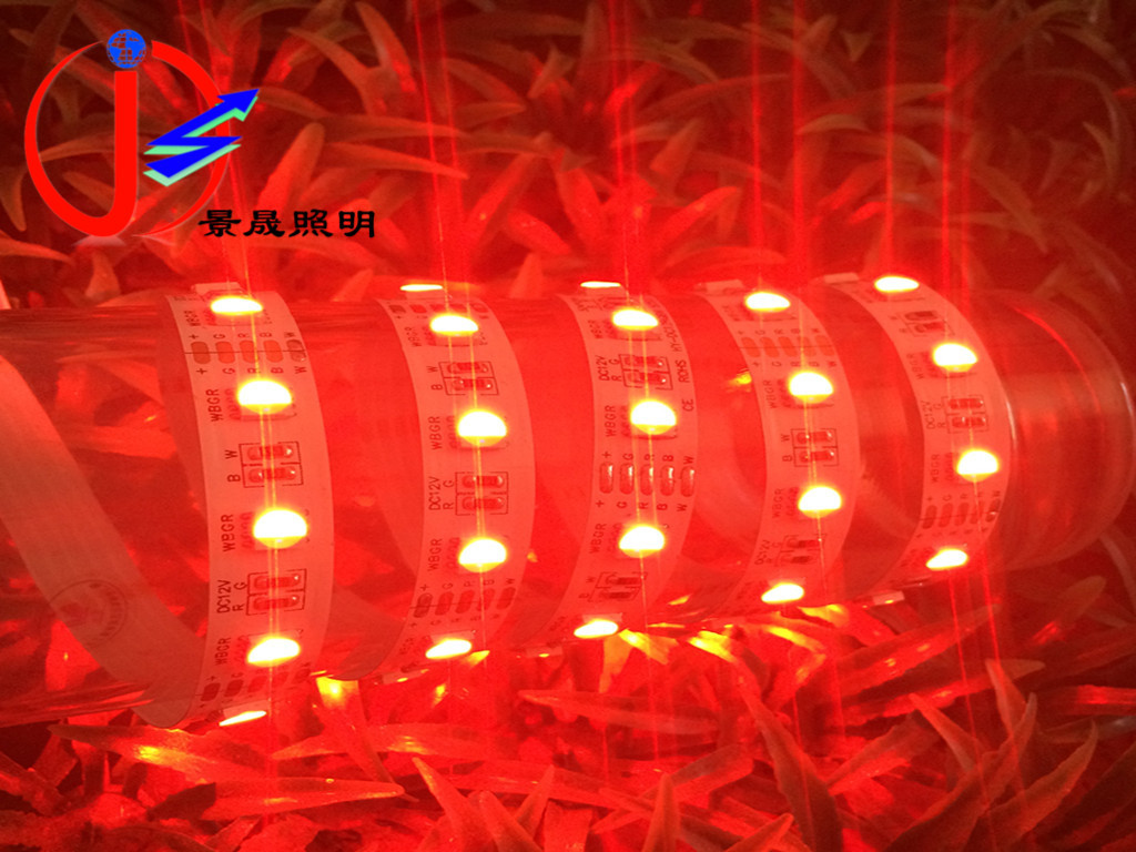 厂家直销60灯/m5050RGBW LED软灯条工程亮化LED5050软灯带RGBWW