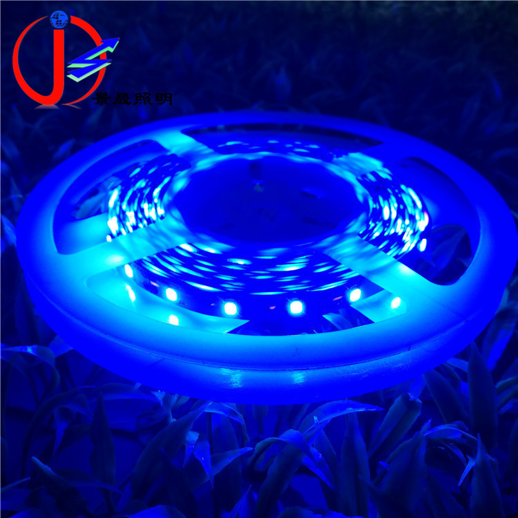 【2835灯带60灯】新款高亮DC12V60灯2835led软灯条蓝色灯光