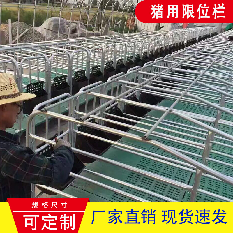 厂家批发猪用定位栏限位栏 猪场养猪带食槽养猪设备猪定位栏