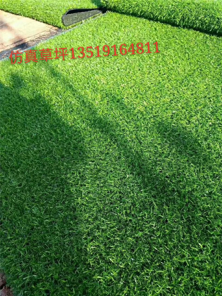 西安防尘网草坪批发西安人工草坪塑料假草皮草地