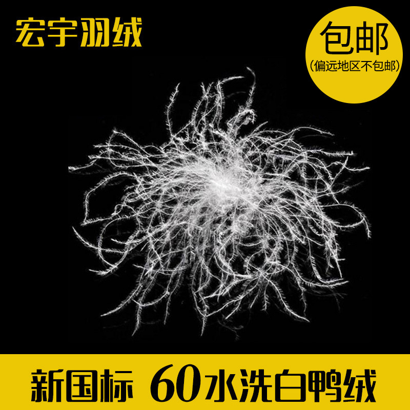 厂家直销60水洗白鸭绒新国标白色大朵60白鸭绒羽绒羽毛原料现货