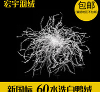 厂家直销60水洗白鸭绒新国标白色大朵60白鸭绒羽绒羽毛原料现货
