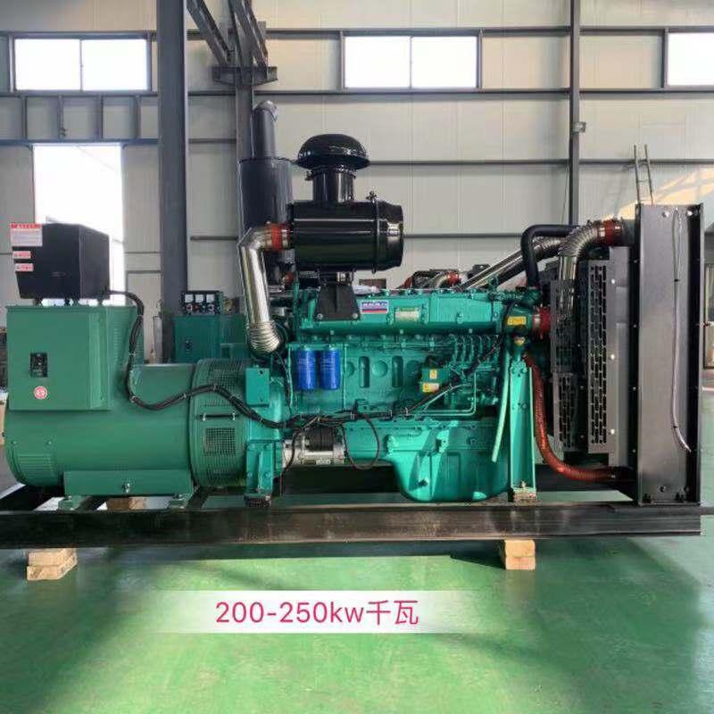 山东250kw-柴油发电机组价格 柴油发电机组价格 全铜无刷