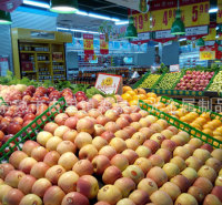供应蔬菜护栏 超市专用蔬菜护栏厂家批发高档环保蔬菜护栏