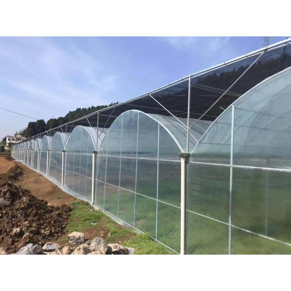 承建连栋薄膜温室 温室大棚建造 薄膜温室大棚建设