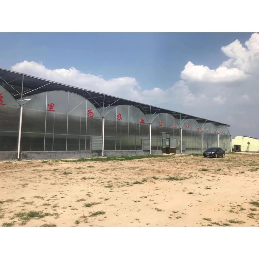 山东连栋薄膜温室建设公司 薄膜温室建设 连栋温室大棚