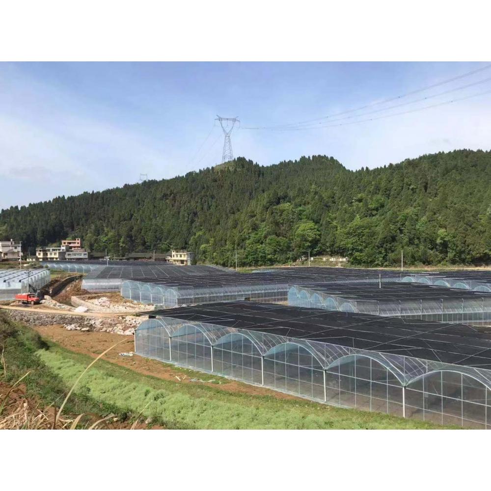 承建连栋薄膜温室 连栋温室  价格优惠   优良质量
