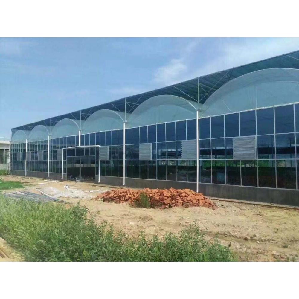 青州连栋薄膜温室大棚公司 源大温室 连栋温室大棚建造