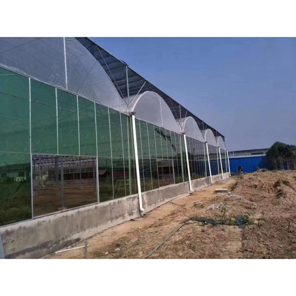 连栋薄膜温室造价 薄膜温室大棚建设 承建温室大棚公司
