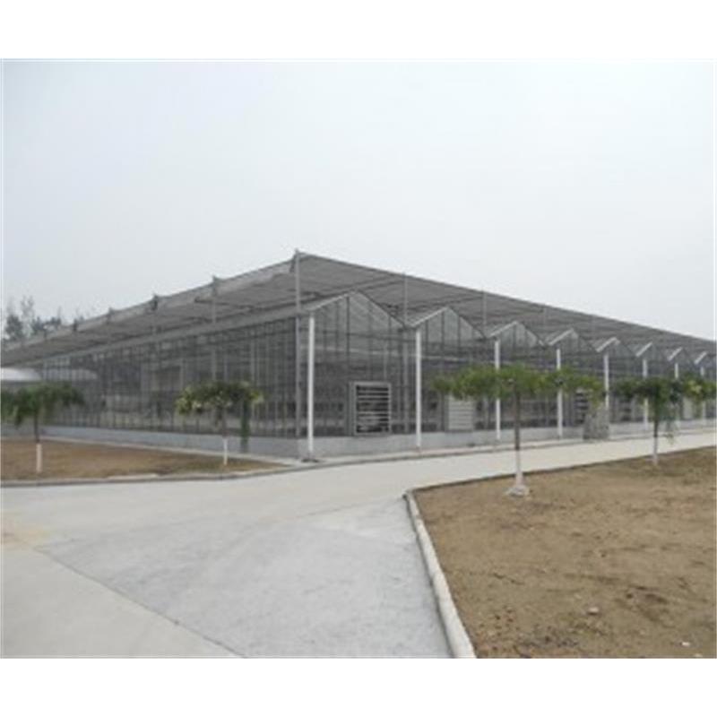 山东智能温室大棚价格 智能大棚价格 智能温室建造