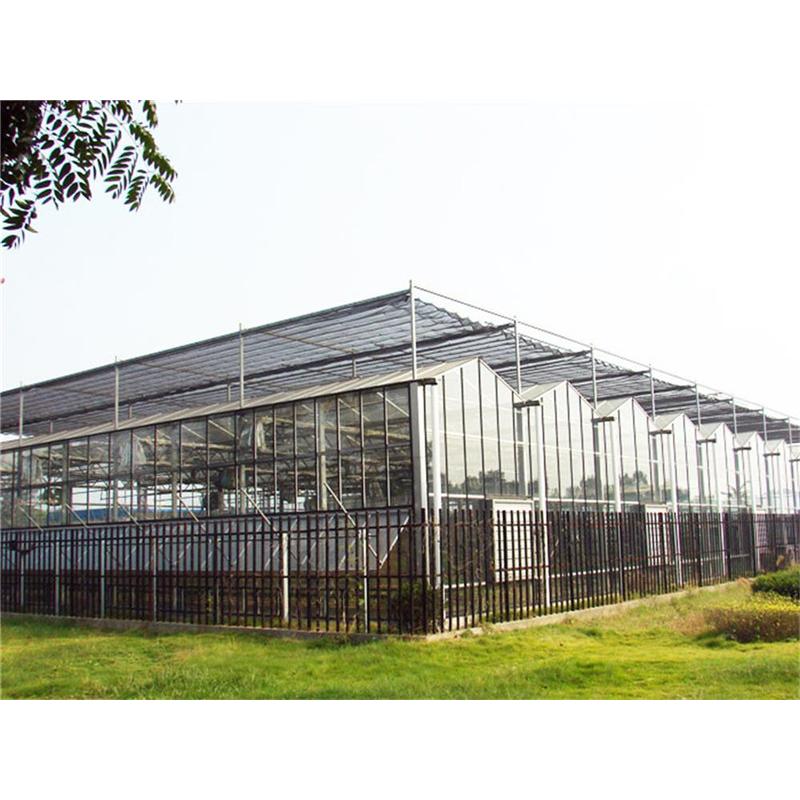 智能温室大棚建造公司-源大温室 智能温室大棚建设