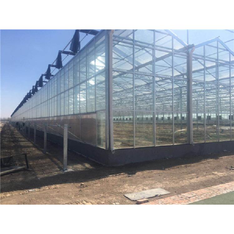 智能玻璃温室建设 智能温室造价_承建商 金江