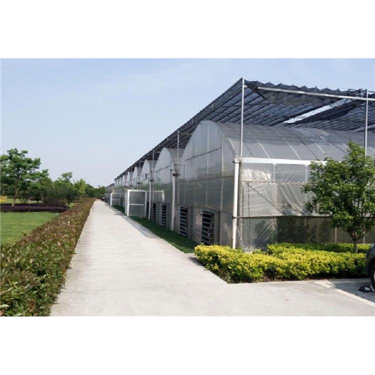 山东薄膜温室报价 薄膜连栋温室承建商