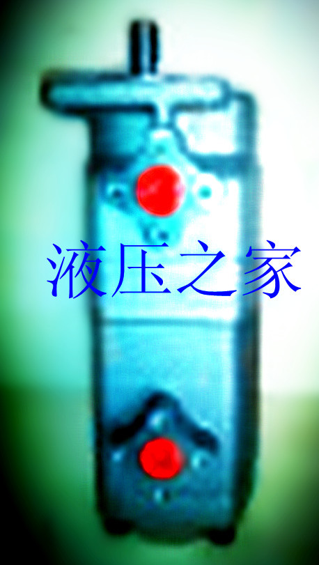 代购 原装台湾新鸿HGP-22A-3R 液压泵 齿轮泵