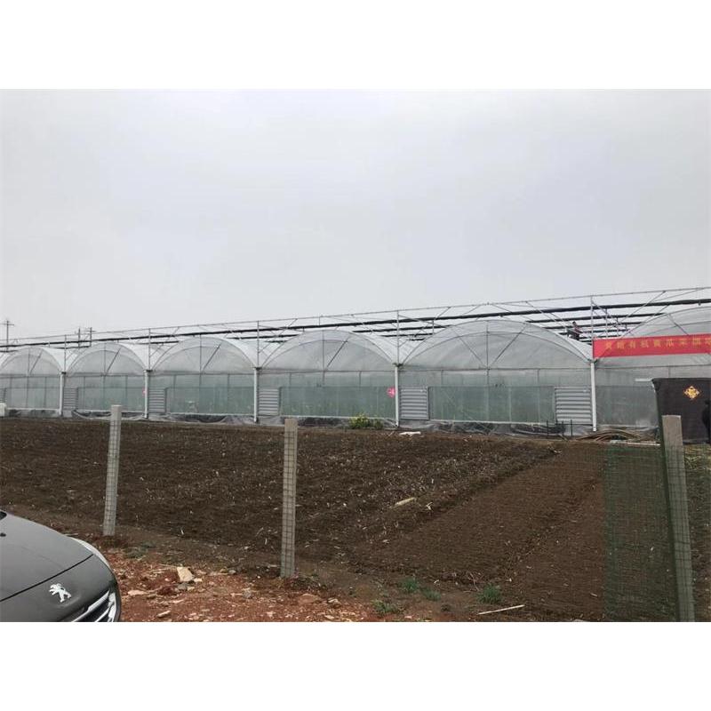 青州薄膜连栋温室建设公司 薄膜连栋温室大棚建设