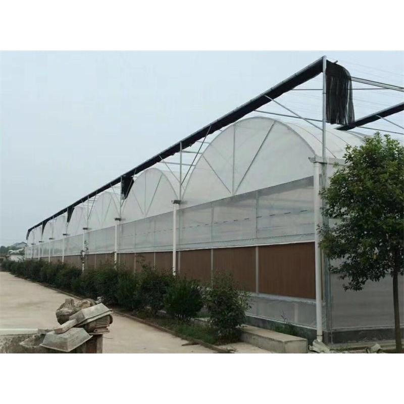 薄膜连栋温室_薄膜温室大棚建设_薄膜温室建造商_源大温室