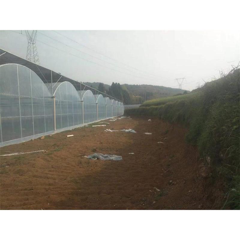 薄膜连栋温室大棚 连栋温室大棚建造 连栋温室建设