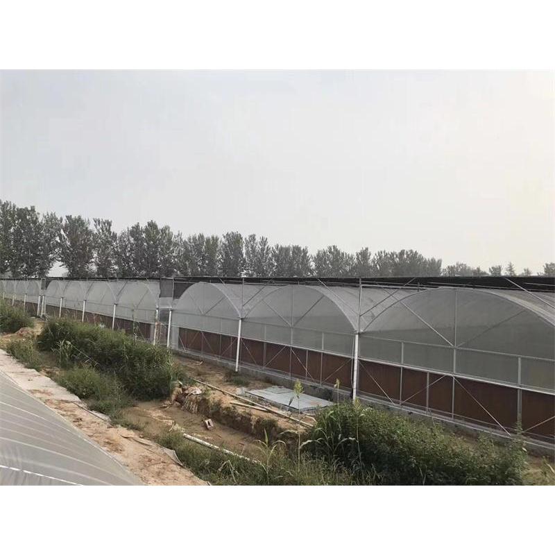 薄膜连栋温室建造 薄膜连栋温室建设 薄膜连栋温室公司