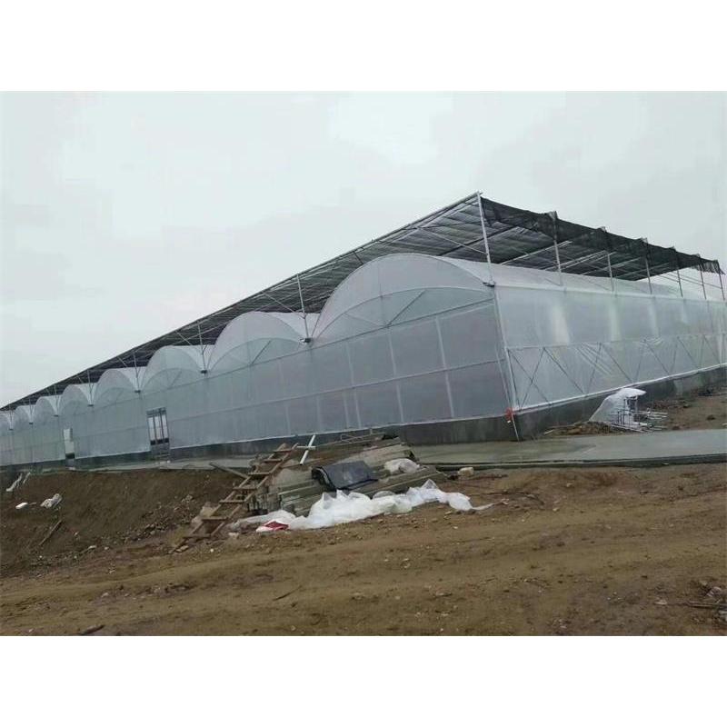山东薄膜连栋温室建造 连栋温室大棚建造公司 源大温室