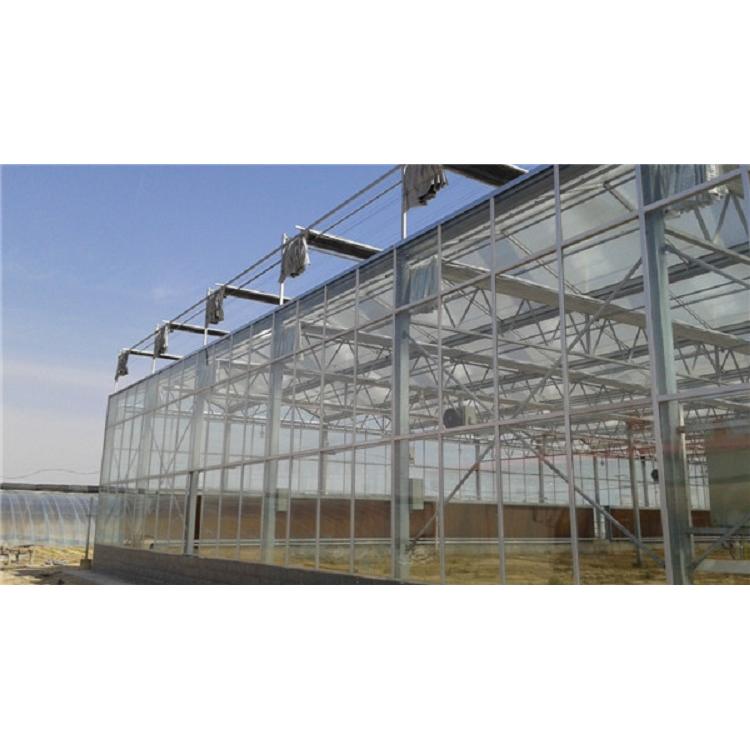 建造智能连栋温室工程 连栋温室大棚设计