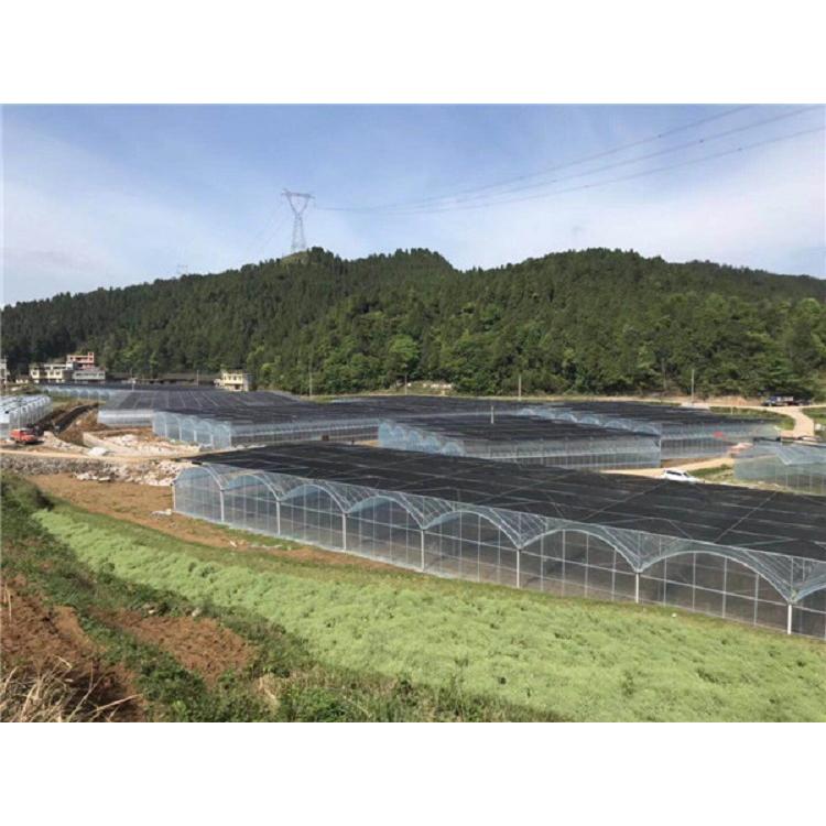 山东薄膜温室价格 双拱双膜温室建造商