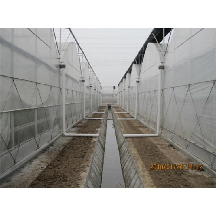 薄膜温室建设 双拱双膜温室建造商 金江