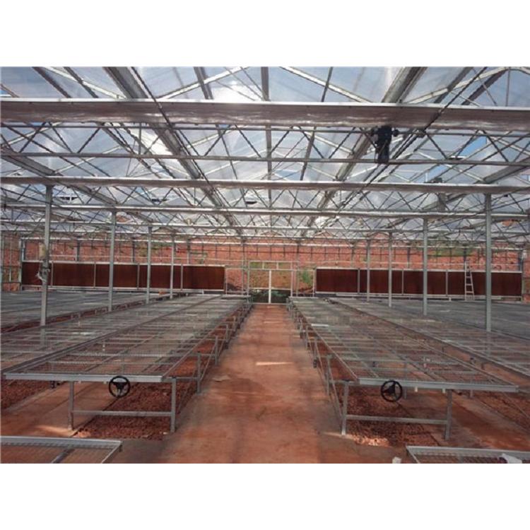 承建连栋智能温室价格 连栋温室大棚建造商