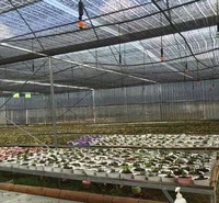 大棚框架360度旋转微喷头 有<em>防</em>滴吊挂套装 温室倒挂雾化微喷头