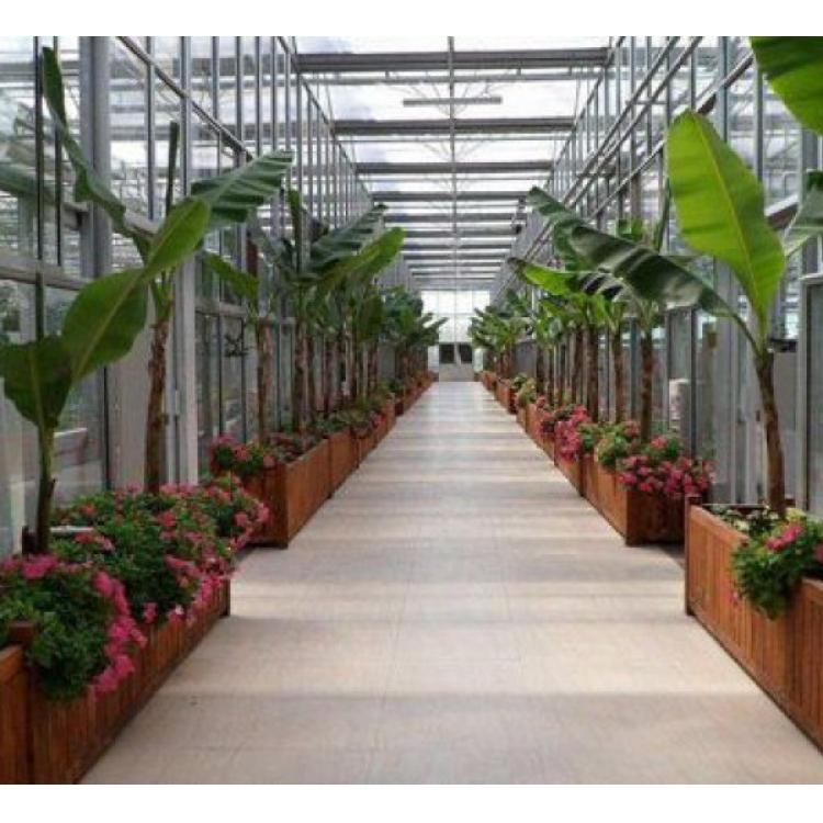 天津生态餐厅建造商 温室餐厅建造商 金江