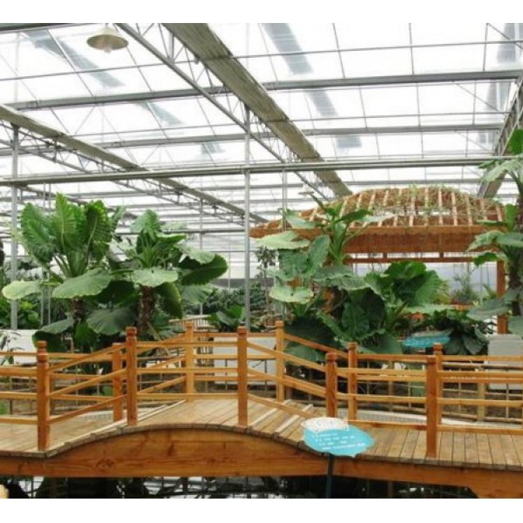 哈尔滨金江生态餐厅承建 温室餐厅承建