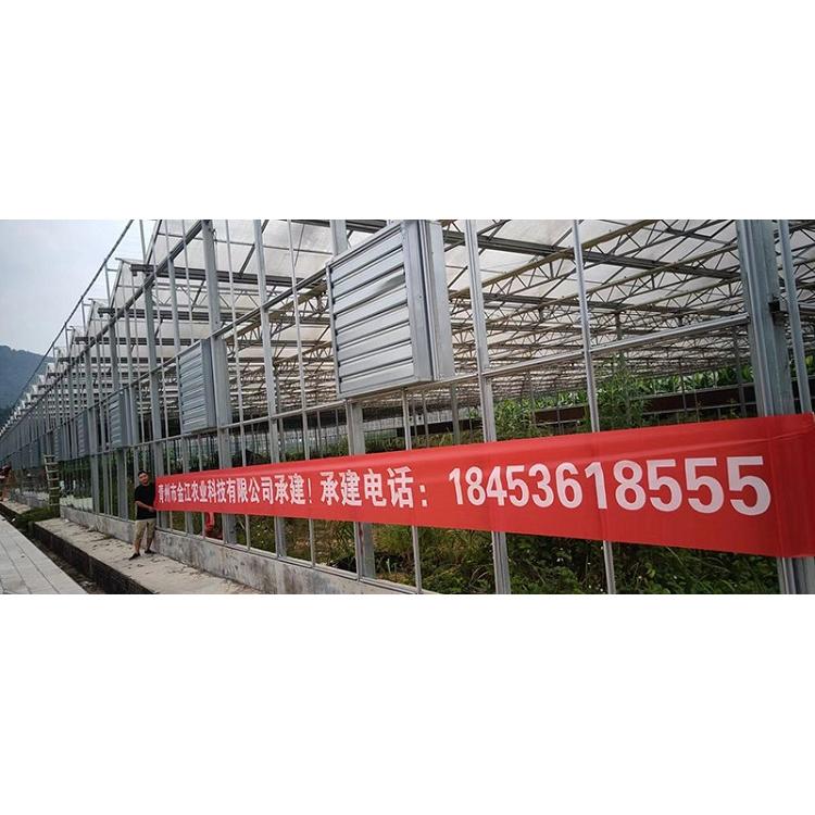 安装山东青州玻璃温室建造商 连栋温室大棚建造商