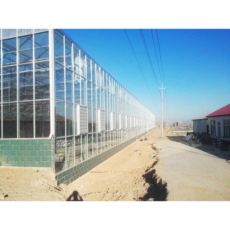 搭建连栋温室建造商 连栋温室大棚建造商