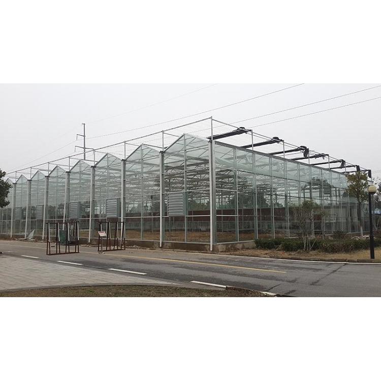 搭建连栋温室建造商 连栋温室大棚建造商 金江