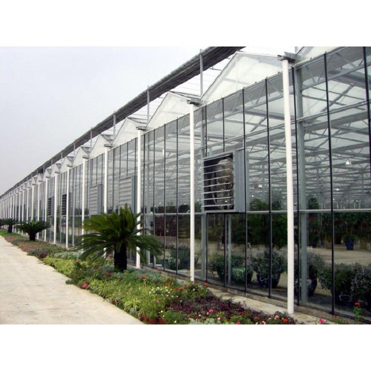 承建连栋温室造价 智能温室造价 金江