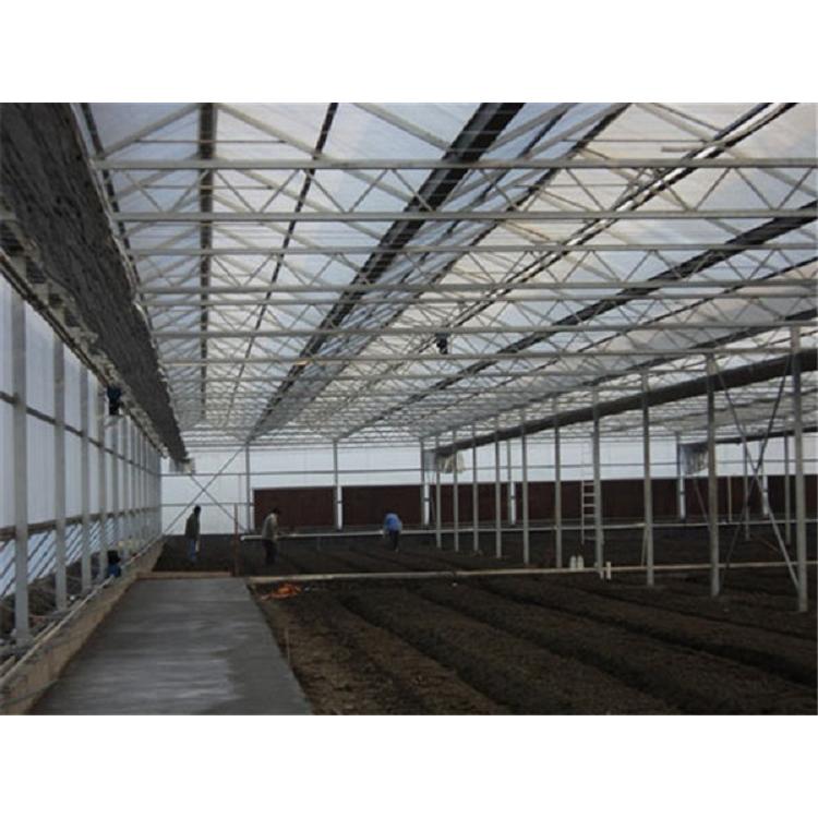 建造智能温室大棚搭建 智能连栋温室承建