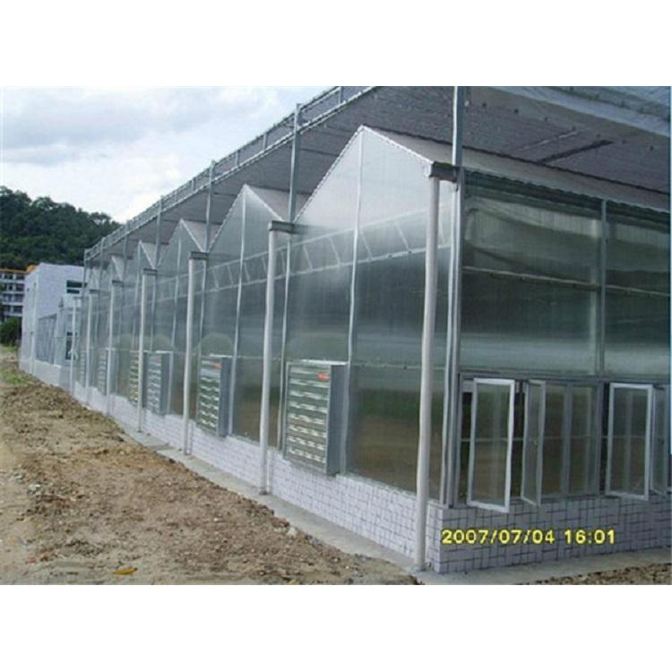 建造智能温室工程 智能温室大棚设计 智能温室设计