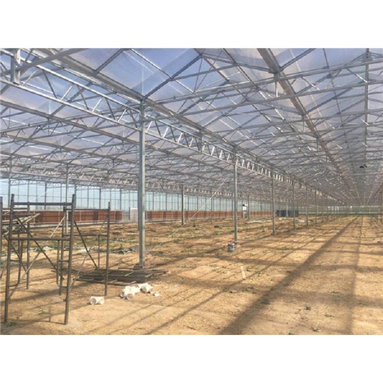 建造智能温室大棚设计 智能温室建造商