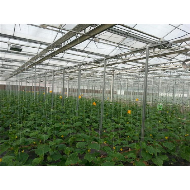 承建结构合理的智能温室大棚  连栋温室大棚建设商