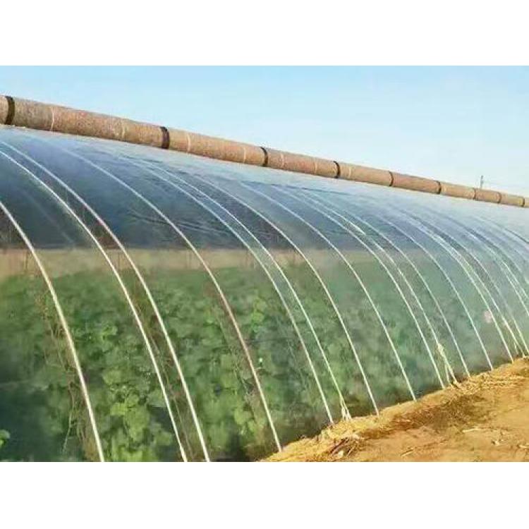 青州大棚膜_po膜价格 大棚膜批发价格