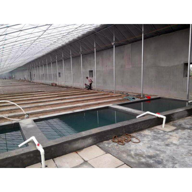 建造日光温室造价 日光温室大棚承建商 金江