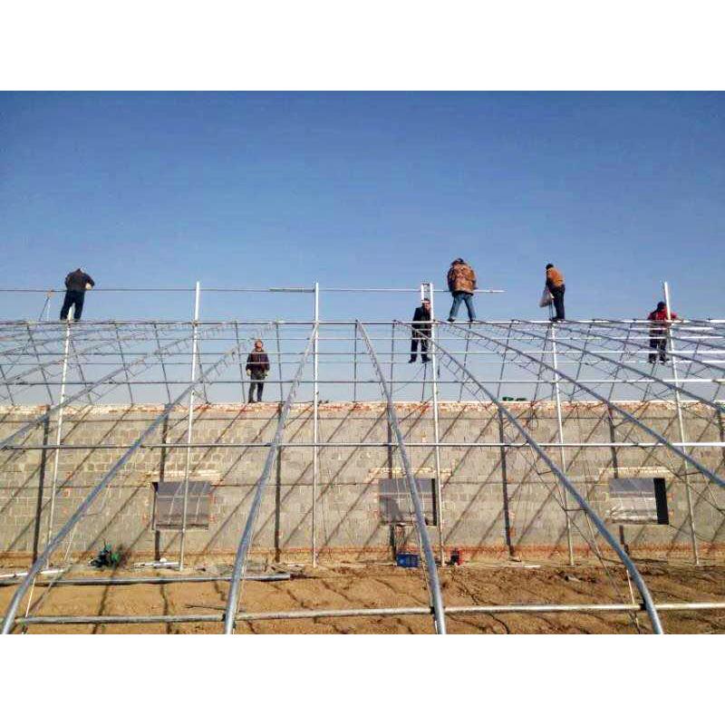 山东日光温室建设商 日光温室大棚建造