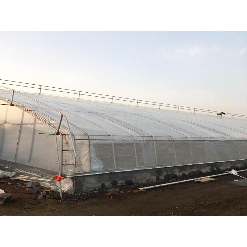 建造日光温室建设商 日光温室大棚建设商
